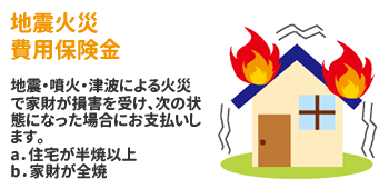 地震火災費用保険金