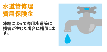 水道管修理費用保険金